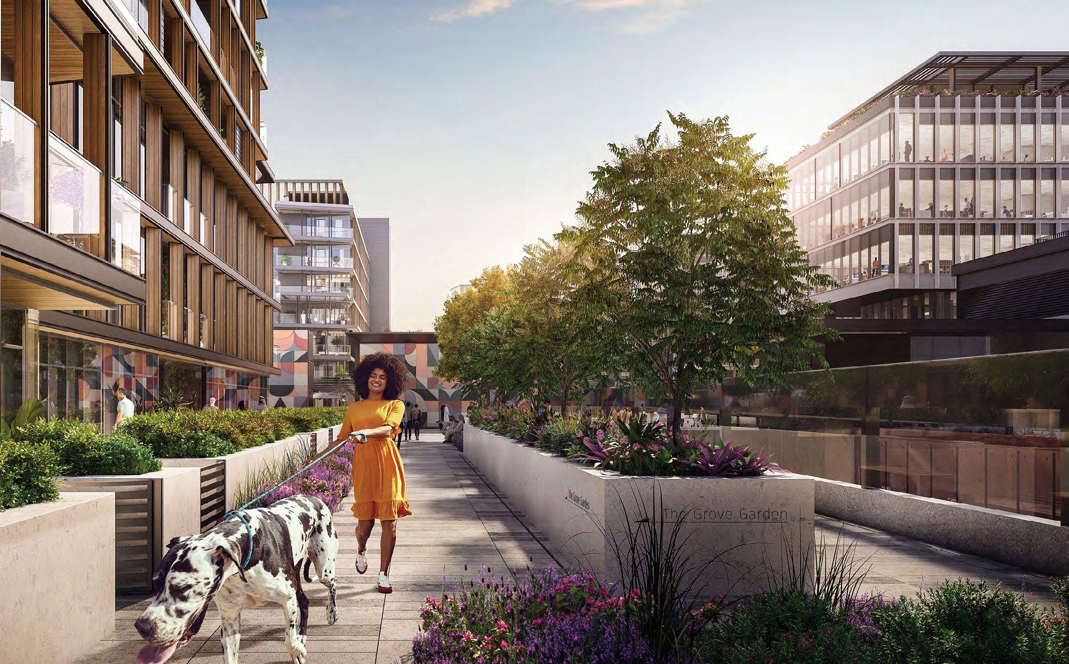 Grove Beach Views Saadiyat Grove Abu Dhabi residential towers offering sea views and cultural district connectivity